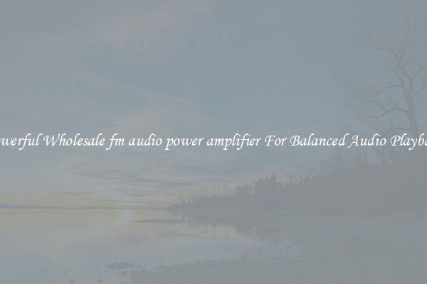 Powerful Wholesale fm audio power amplifier For Balanced Audio Playback