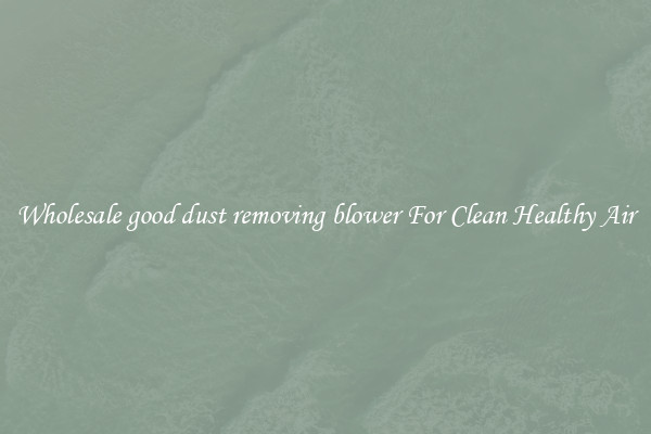 Wholesale good dust removing blower For Clean Healthy Air
