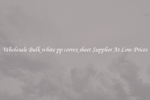 Wholesale Bulk white pp correx sheet Supplier At Low Prices