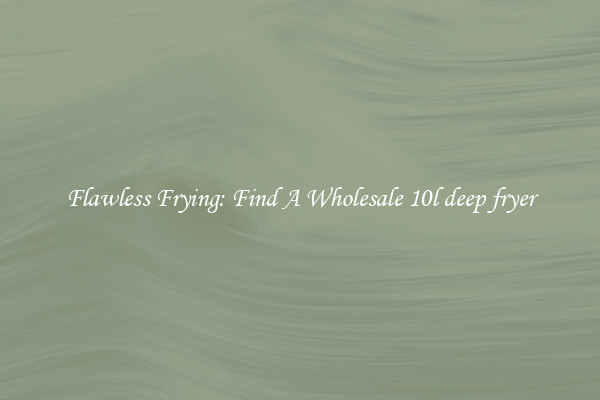 Flawless Frying: Find A Wholesale 10l deep fryer