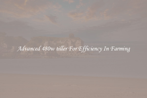 Advanced 480w tiller For Efficiency In Farming