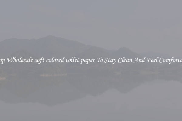 Shop Wholesale soft colored toilet paper To Stay Clean And Feel Comfortable