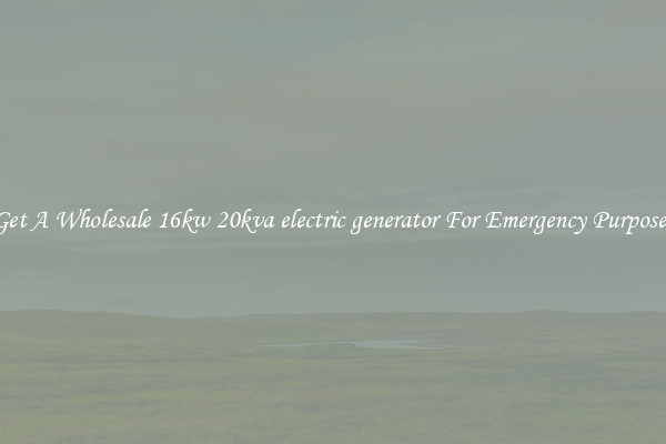 Get A Wholesale 16kw 20kva electric generator For Emergency Purposes