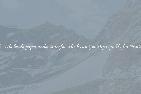 The Wholesale paper under transfer which can Get Dry Quickly for Printing