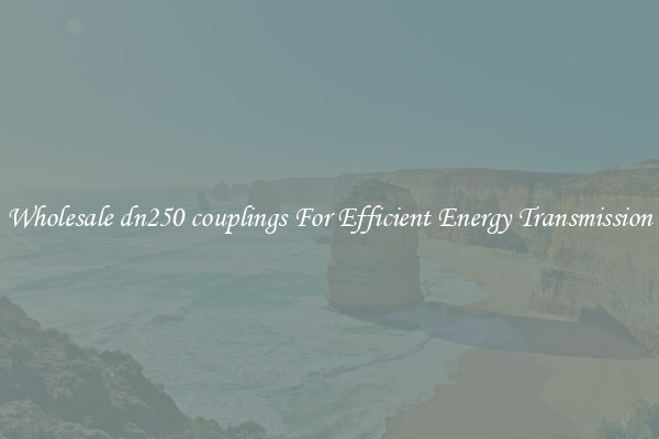 Wholesale dn250 couplings For Efficient Energy Transmission