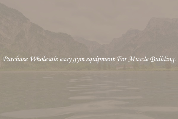 Purchase Wholesale easy gym equipment For Muscle Building.