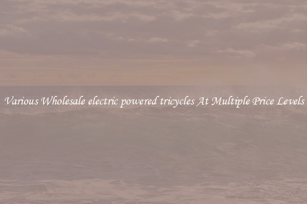 Various Wholesale electric powered tricycles At Multiple Price Levels
