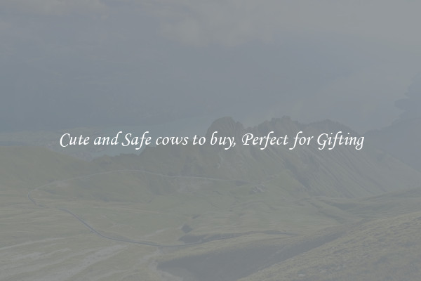 Cute and Safe cows to buy, Perfect for Gifting