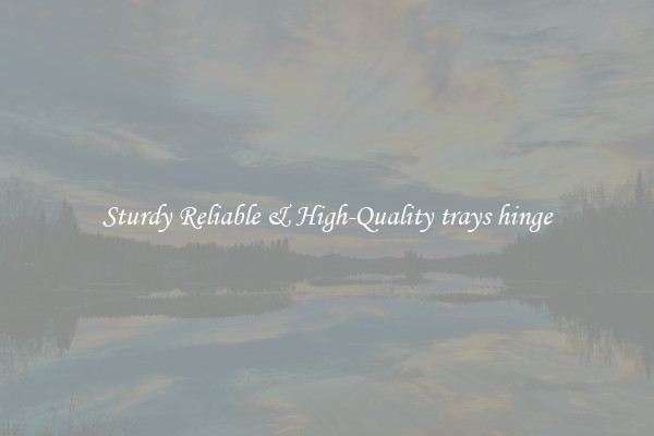 Sturdy Reliable & High-Quality trays hinge