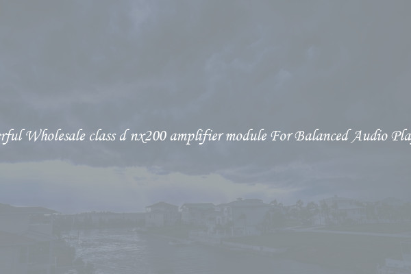 Powerful Wholesale class d nx200 amplifier module For Balanced Audio Playback