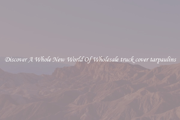 Discover A Whole New World Of Wholesale truck cover tarpaulins