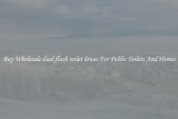 Buy Wholesale dual flush toilet lowes For Public Toilets And Homes